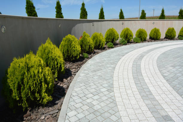 Best Decorative Driveway Pavers  in Clovis, CA